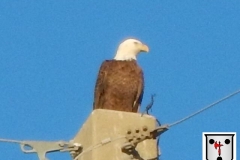 2016-11-23_04-48-30_iPhone_1391