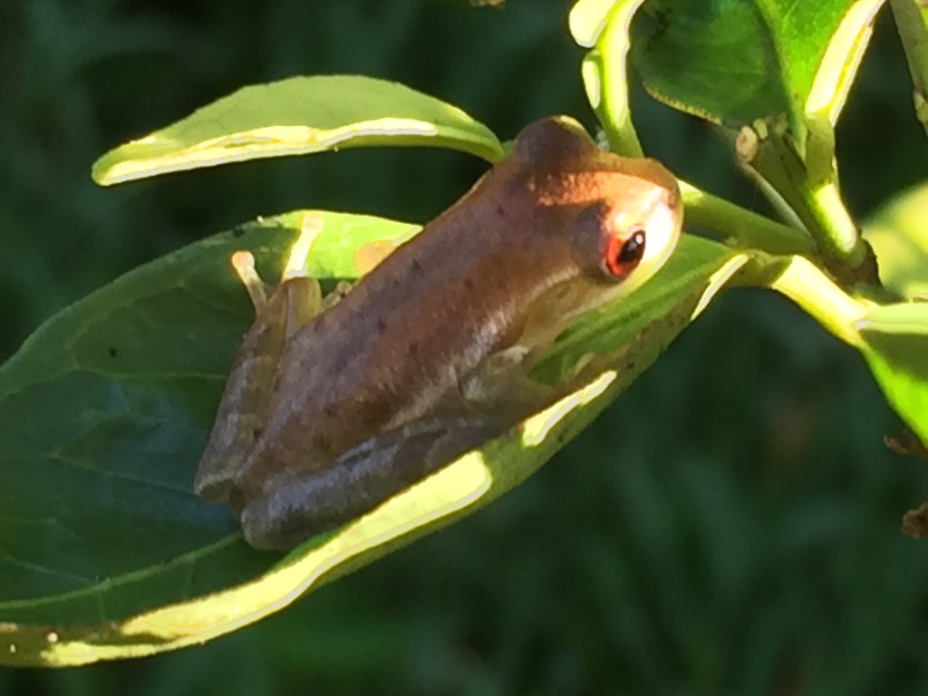 2016-09-09_08-09-59_iPhone_9307