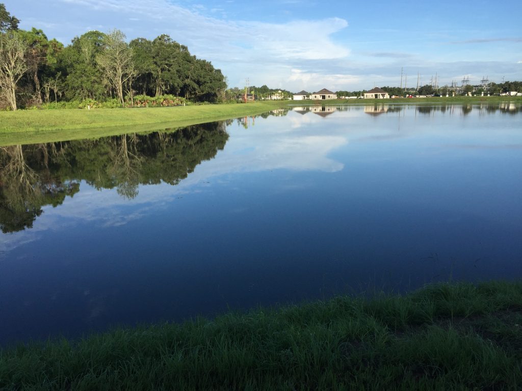 smooth lake with reflection of clouds, trees, and homes at Ridge Lake Circle, Bradenton